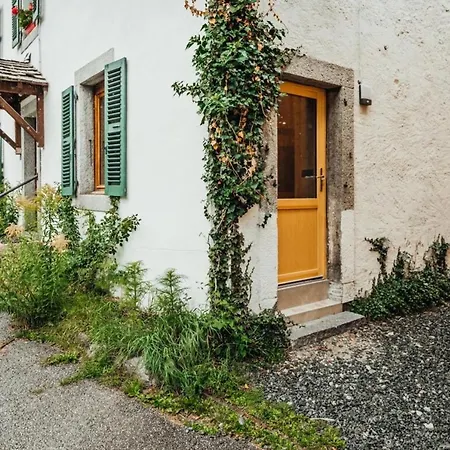Vouvy Furnished Flat Chamonix